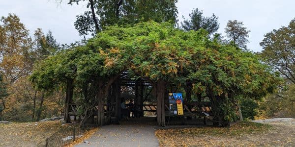 Applied Spirituality for Practical Utility